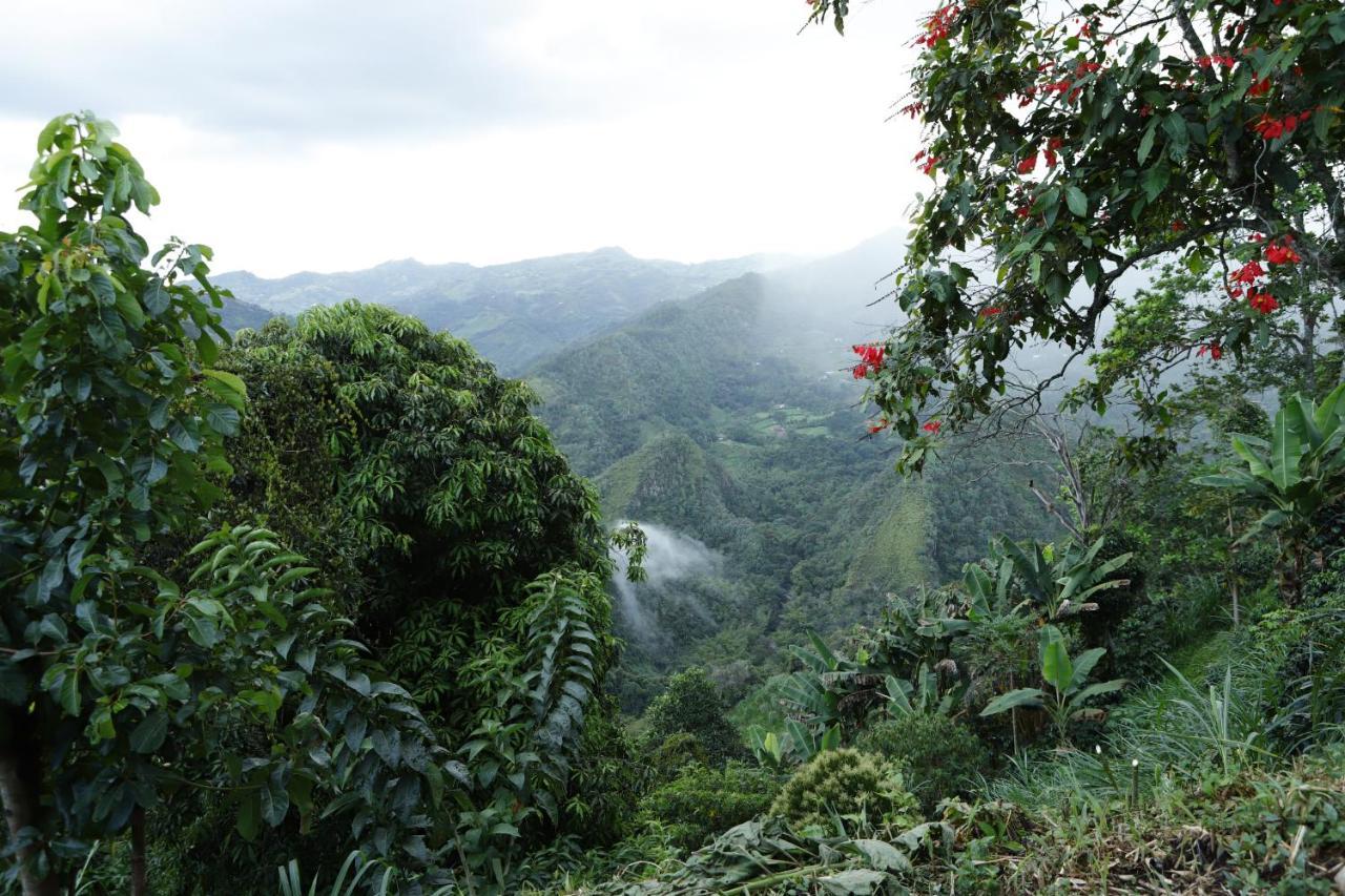 Ecohotel Monteverde 拉维加 外观 照片