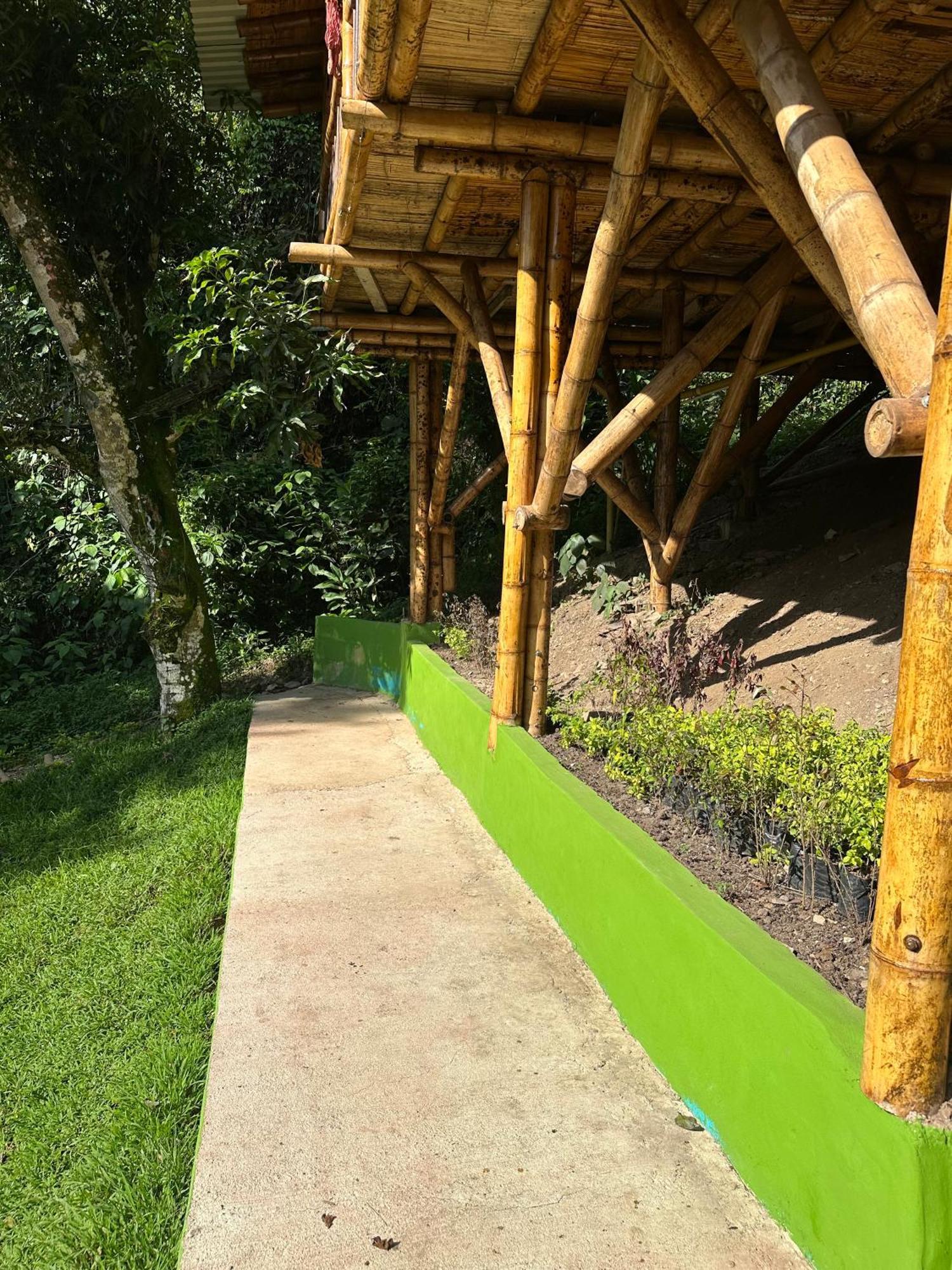 Ecohotel Monteverde 拉维加 外观 照片