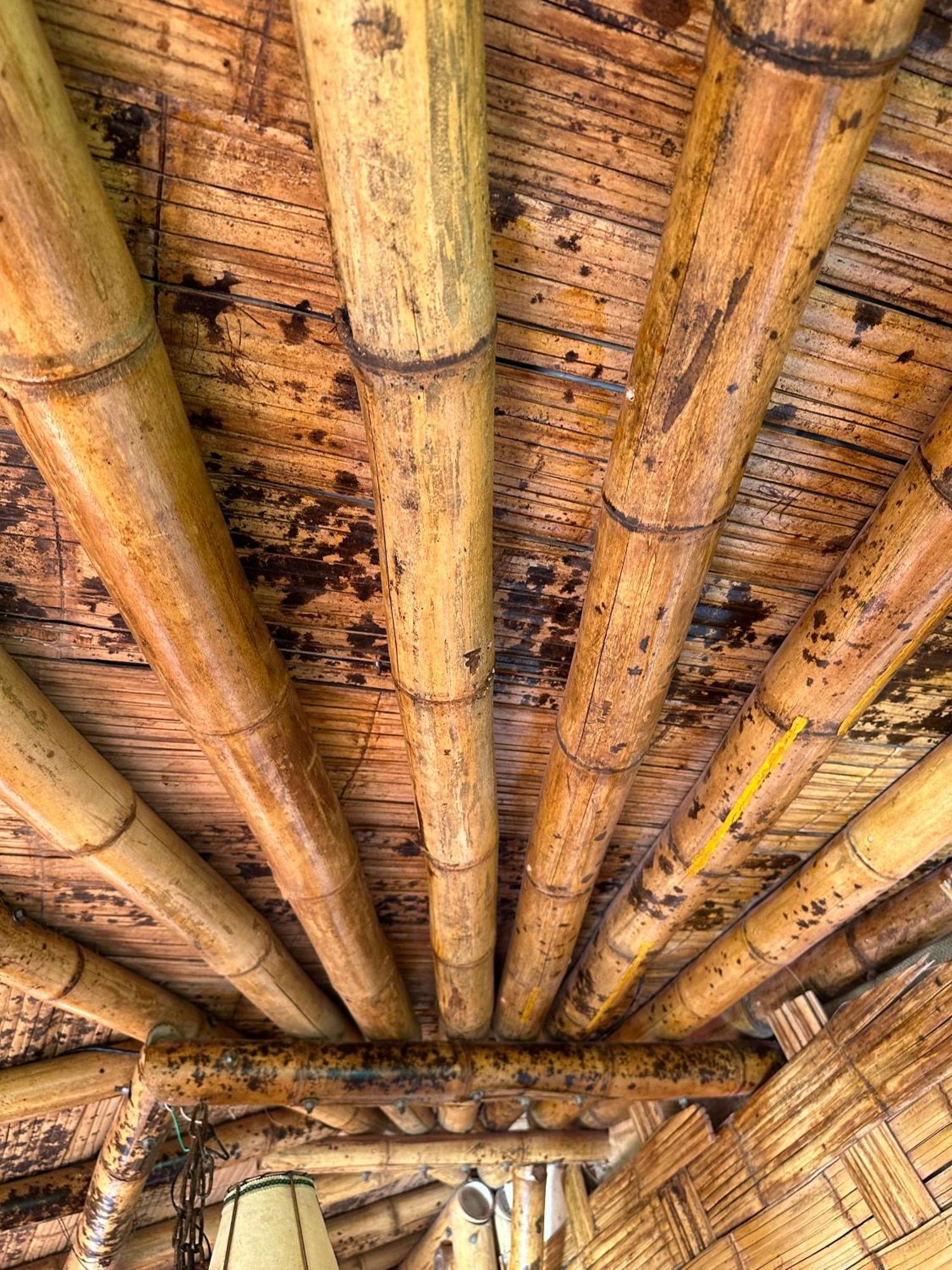 Ecohotel Monteverde 拉维加 外观 照片