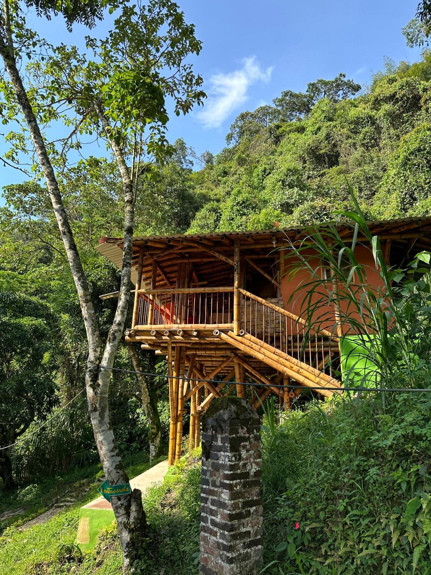 Ecohotel Monteverde 拉维加 外观 照片