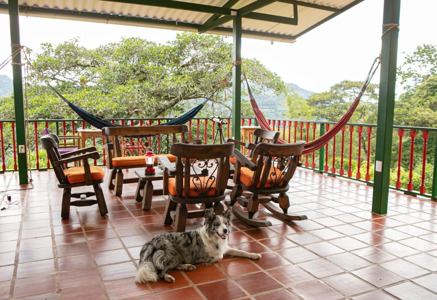 Ecohotel Monteverde 拉维加 外观 照片
