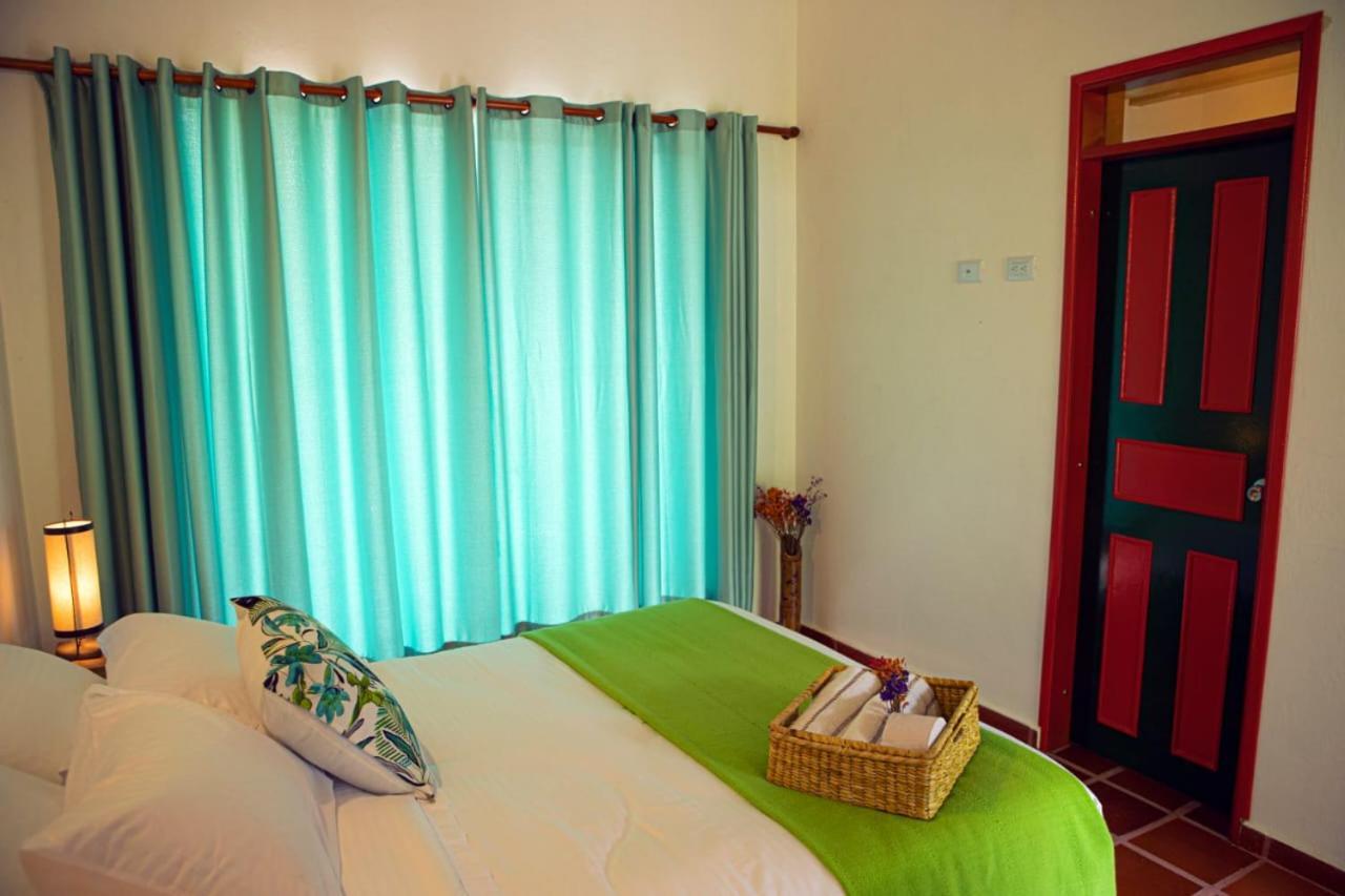 Ecohotel Monteverde 拉维加 外观 照片