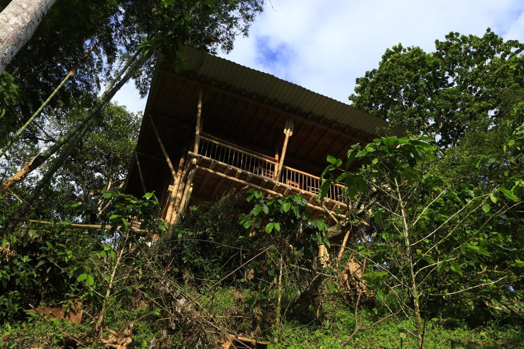 Ecohotel Monteverde 拉维加 外观 照片