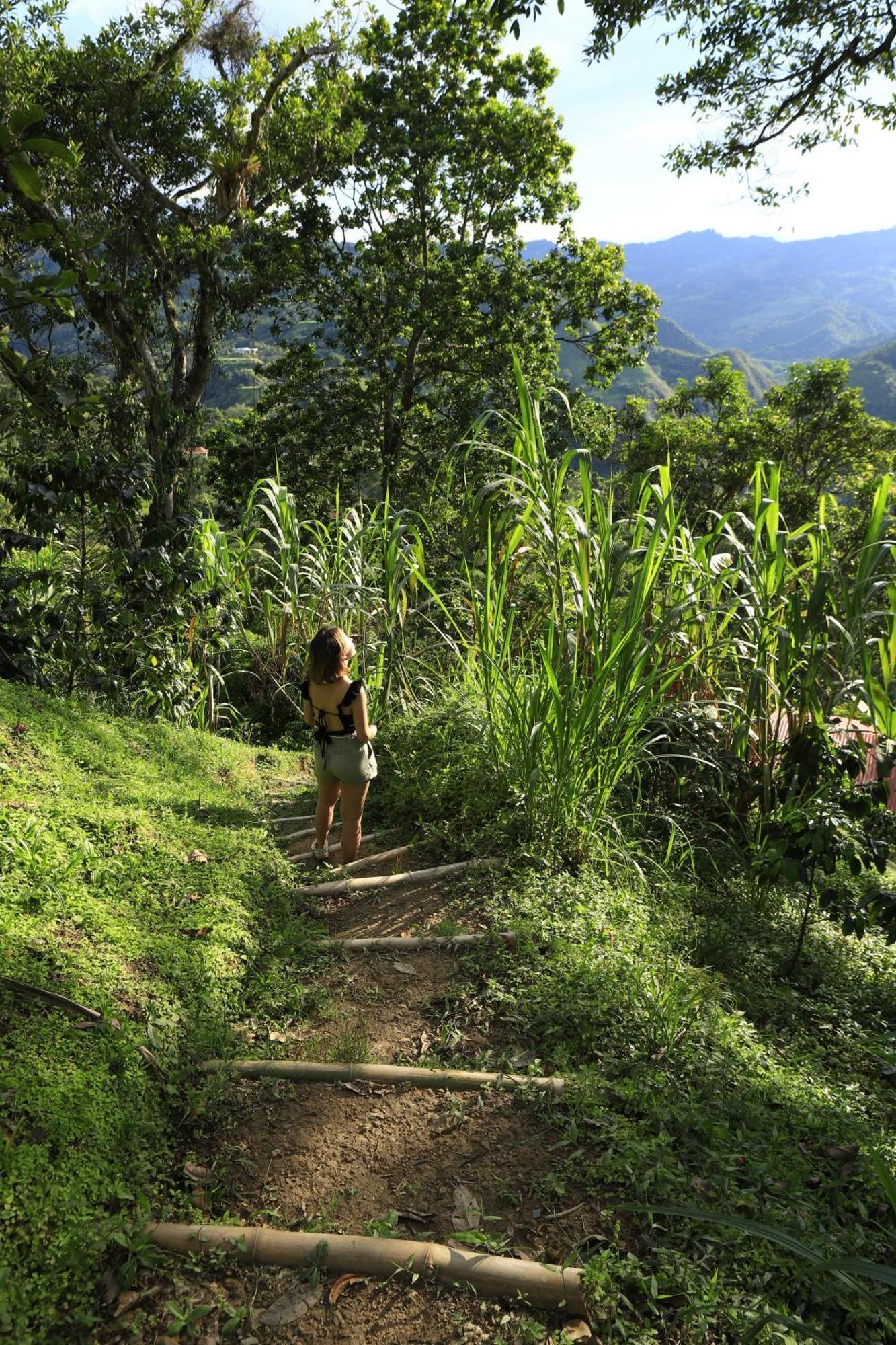Ecohotel Monteverde 拉维加 外观 照片