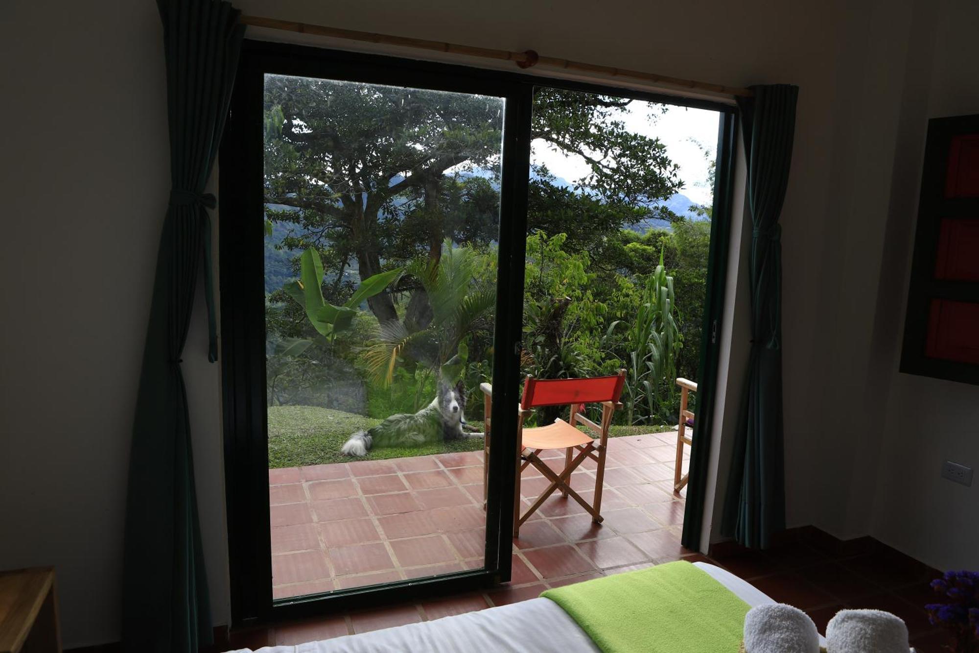 Ecohotel Monteverde 拉维加 外观 照片